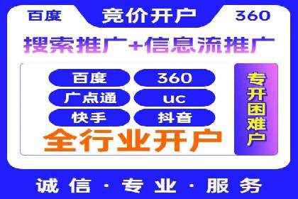 某某SEM服务公司成功案例：从数据出发的营销策略